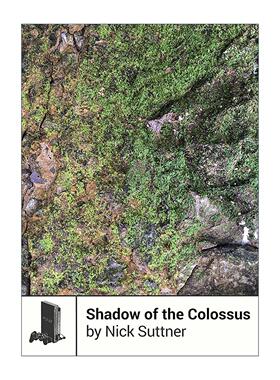 英文原版 Shadow of the Colossus 巨像之咆哮 经典电子游戏的台前幕后系列 英文版 进口英语原版书籍