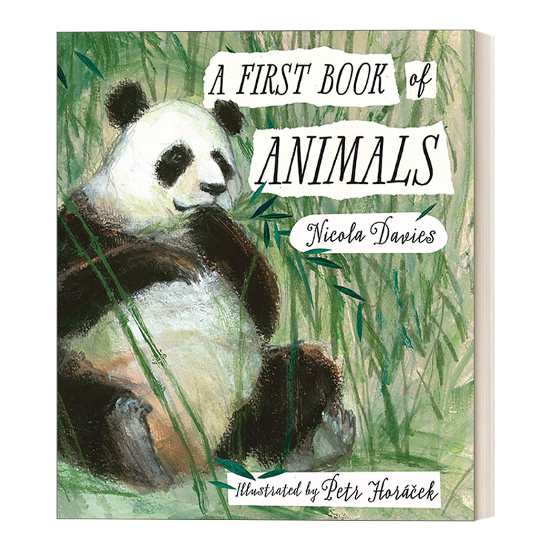 英文原版 A First Book of Animals 动物启蒙科普书 Nicola Davies 精装 英文版 进口英语原版书籍
