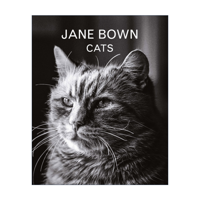 英文原版 Jane Bown Cats 简 ·鲍恩猫咪摄影 百幅黑白猫咪肖像 猫咪爱好者的精装摄影书 英文版 进口英语原版书籍