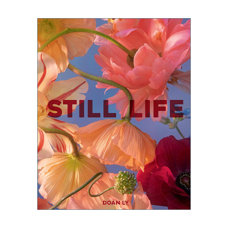 英文原版 Still Life 静物生活 精装 美国艺术家Doan Ly花艺摄影作品 英文版 进口英语原版书籍