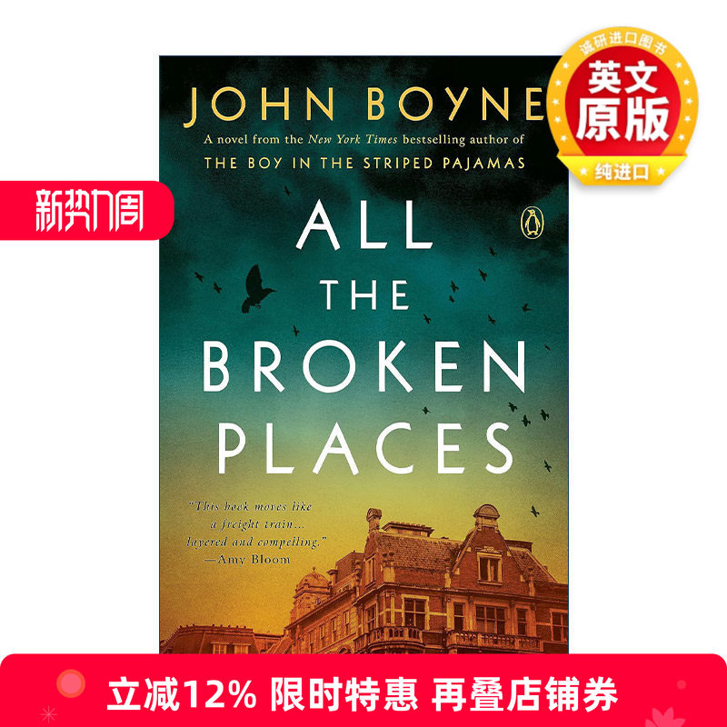 英文原版小说 All The Broken Places 所有破碎的地方 穿条纹睡衣的男孩续集 John Boyne 英文版 进口英语原版书籍