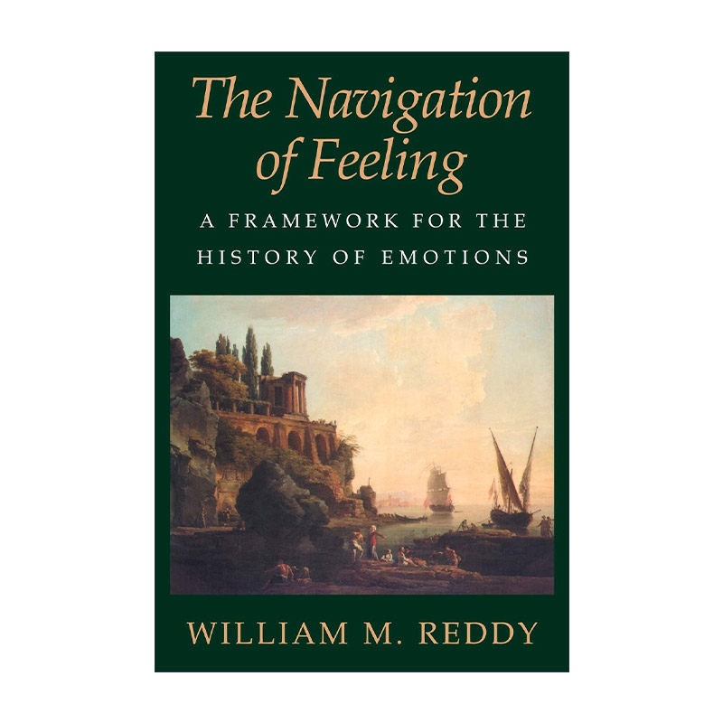 英文原版 The Navigation of Feeling 感情研究指南 情感史的框架 威廉·雷迪 英文版 进口英语原版书籍