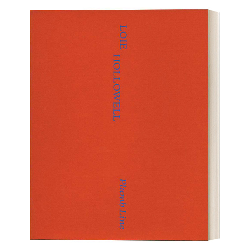 英文原版 Loie Hollowell 美国女艺术家洛伊·霍洛韦尔作品集 铅垂线系列 精装抽象绘画艺术画册 二次孕期观察记录 英文版 进口书
