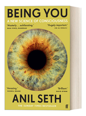 英文原版 Being You 为人 意识的新科学 大脑是如何产生意识的？ 神经科学家Anil Seth 英文版 进口英语原版书籍