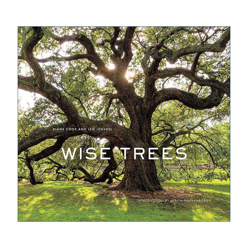 英文原版 Wise Trees 智慧的树 世界各地树木的非凡故事 精装自然景观摄影艺术图册 Diane Cook 英文版 进口英语原版书籍