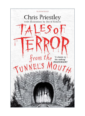 英文原版 Tales of Terror from the Tunnel's Mouth 隧道之口恐怖故事集 Chris Priestley少儿恐怖故事系列 进口英语原版书籍