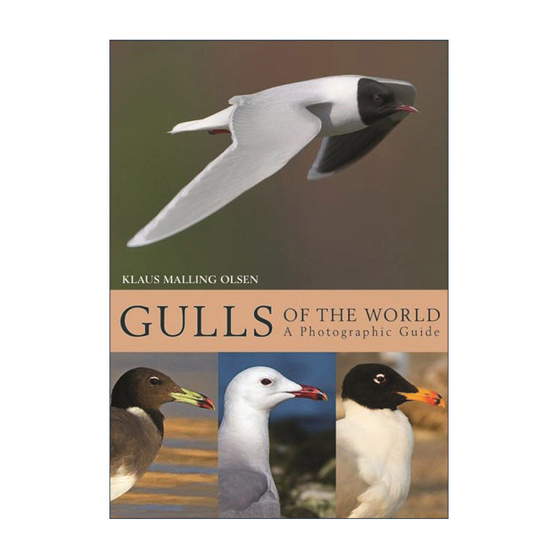 英文原版 Gulls of the World 世界的海鸥 摄影指南 观鸟 海鸥专家Klaus Malling Olsen 精装 英文版 进口英语原版书籍