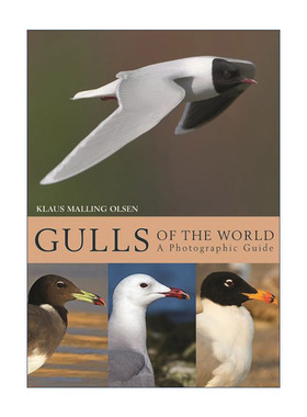 英文原版 Gulls of the World 世界的海鸥 摄影指南 观鸟 海鸥专家Klaus Malling Olsen 精装 英文版 进口英语原版书籍