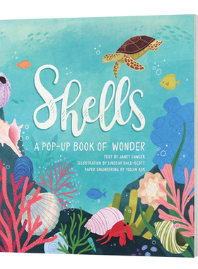 四季立体书系列 夏天的贝壳 英文原版 Shells A Pop up Book of Wonder 精装 亲子互动认知书 英文版进口原版英语书籍
