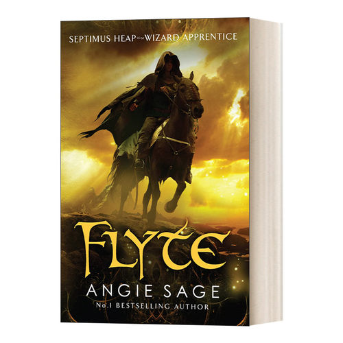 英文原版 Flyte 萨提姆斯·希普七部曲2 英版 安姬·赛曲 英文版 进口英语原版书籍