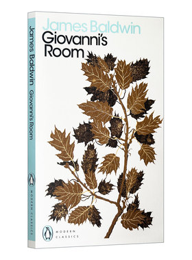 英文原版 Giovanni's Room 乔凡尼的房间 James Baldwin詹姆斯·鲍德温 英文版 进口英语原版书籍