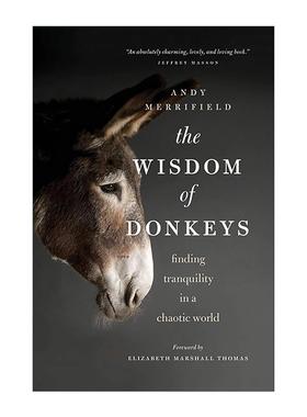 英文原版 Wisdom of Donkeys 大智若驴 在纷乱的世界寻找宁静 Andy Merrifield 英文版 进口英语原版书籍
