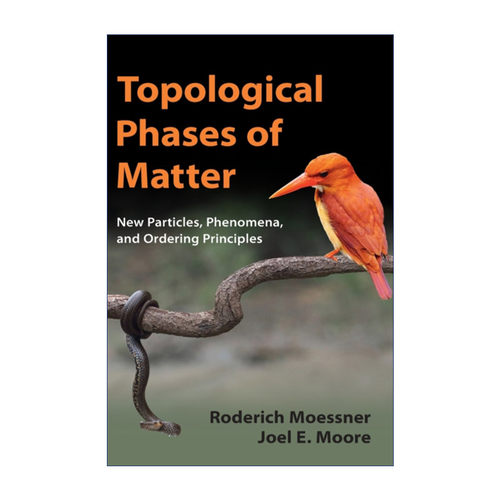 英文原版 Topological Phases of Matter 物质拓扑相 罗德里希·莫斯纳 精装 英文版 进口英语原版书籍