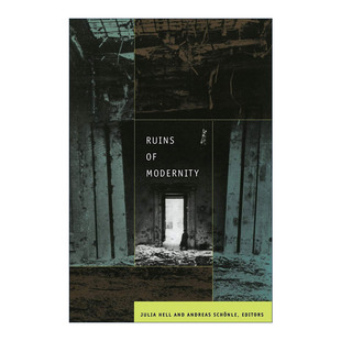 Modernity 现代主义废墟 进口英语原版 Ruins 书籍 英文版 Hell 英文原版 Julia