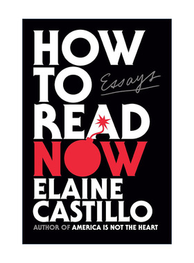 英文原版 How to Read Now 现在如何阅读 文学比较与批评 Elaine Castillo 精装 英文版 进口英语原版书籍