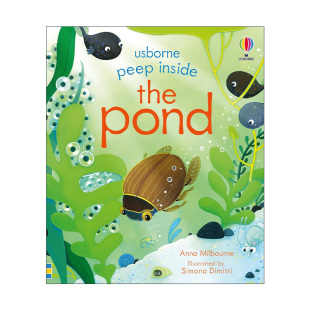 池塘 书籍 Inside 进口英语原版 英文版 科普知识纸板翻翻书 偷偷看里面 Pond the Peep 英文原版