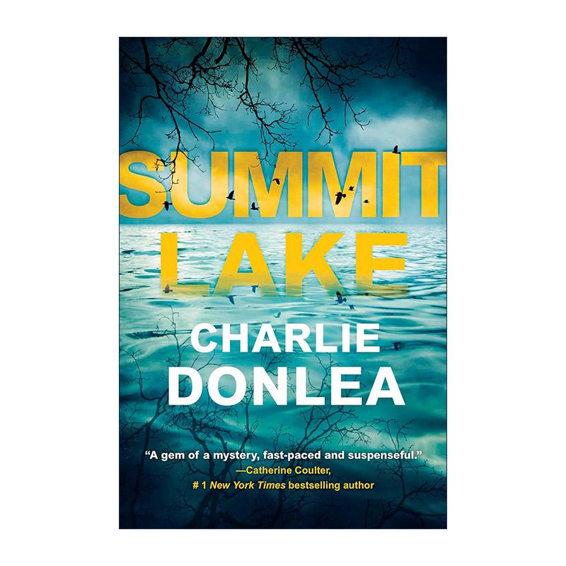 英文原版 Summit Lake 萨米特湖 惊悚推理小说 Charlie Donlea 英文版 进口英语原版书籍