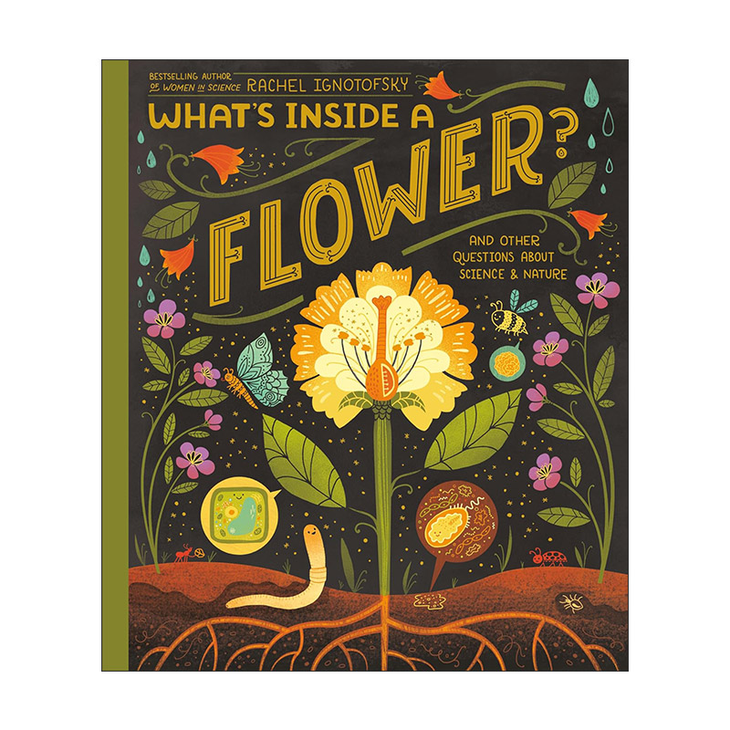 英文原版 What's Inside a Flower 花里有什么 儿童精装自然植物科普百科绘本 Rachel Ignotofsky 英文版 进口英语原版书籍