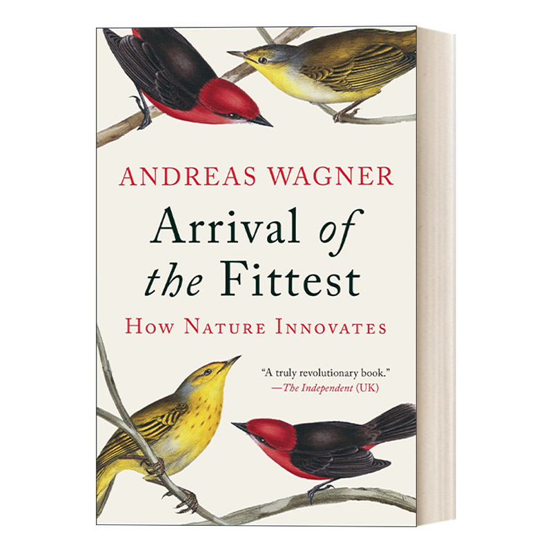 英文原版 Arrival of the Fittest 适者降临 大自然如何创新 Andreas Wagner 英文版 进口英语原版书籍