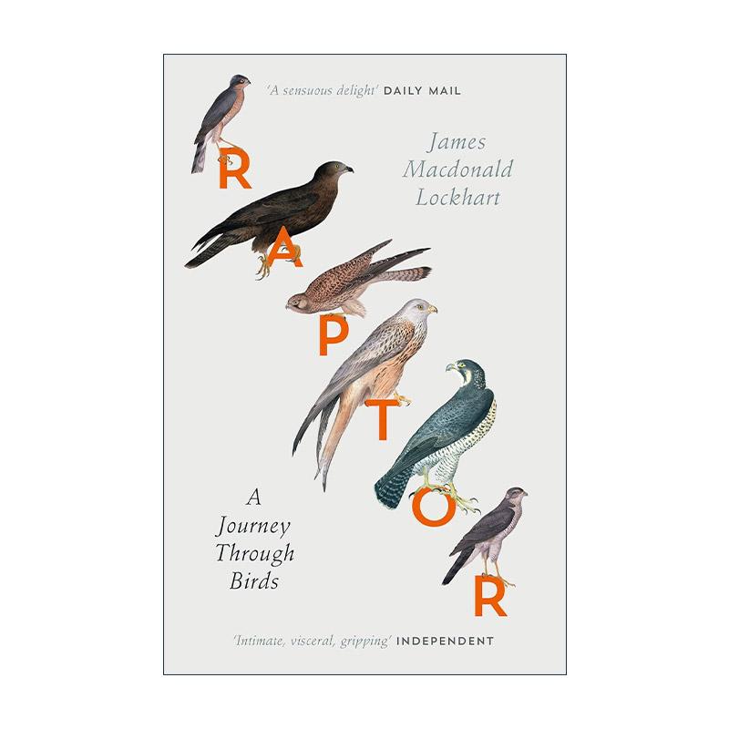 英文原版 Raptor 英国猛禽观察之旅 James Macdonald Lockhart自然写作 英文版 进口英语原版书籍