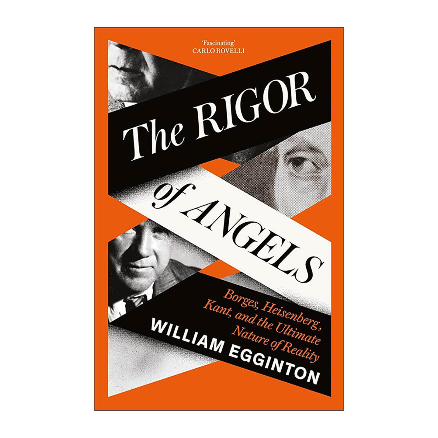 英文原版 The Rigor of Angels 天使的严谨 博尔赫斯 海森堡 康德与实在的终极本质 英文版 进口英语原版书籍