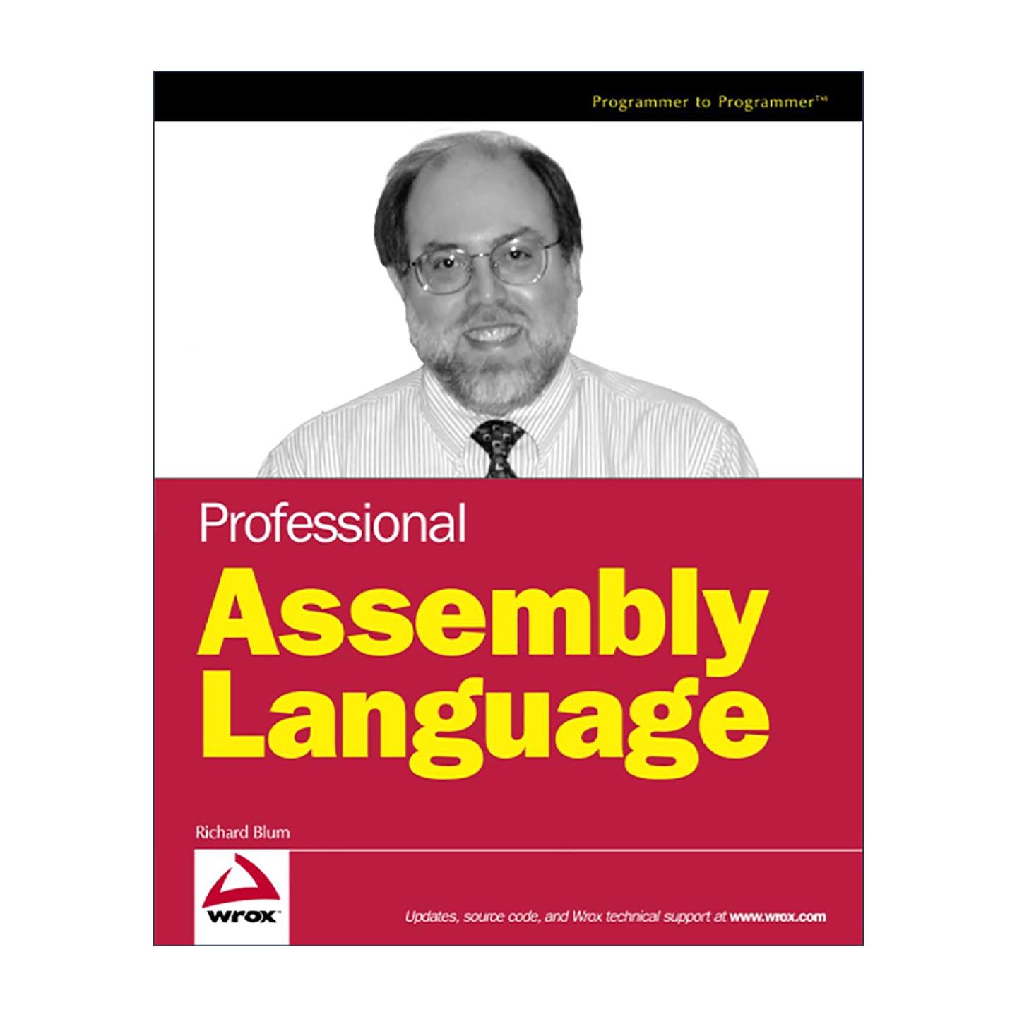 英文原版 Professional Assembly Language 汇编语言程序设计 英文版 进口英语原版书籍