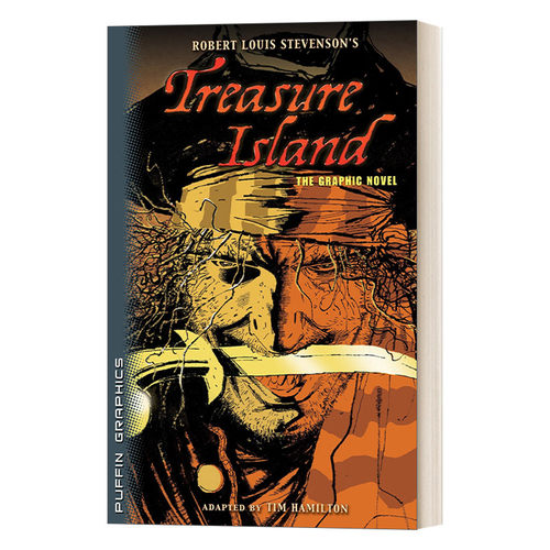 英文原版 Treasure Island The Graphic Novel 金银岛 儿童经典文学漫画小说 Robert Louis Stevenson 英文版 进口英语原版书籍