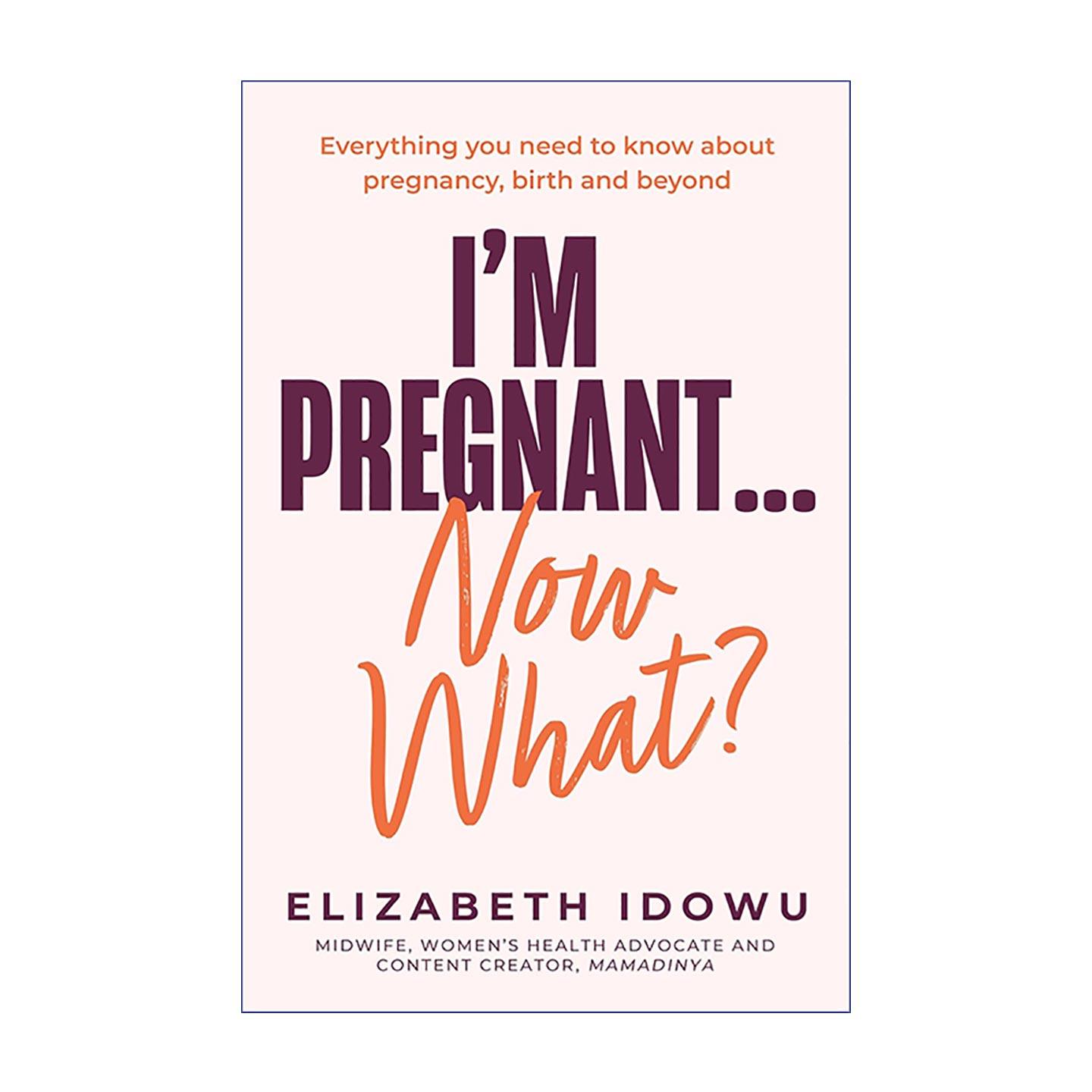 英文原版 I’m Pregnant … Now What? 孕产全程指南 一站式解答 赋予准妈妈掌控自己孕期的信心 英文版 进口英语原版书籍