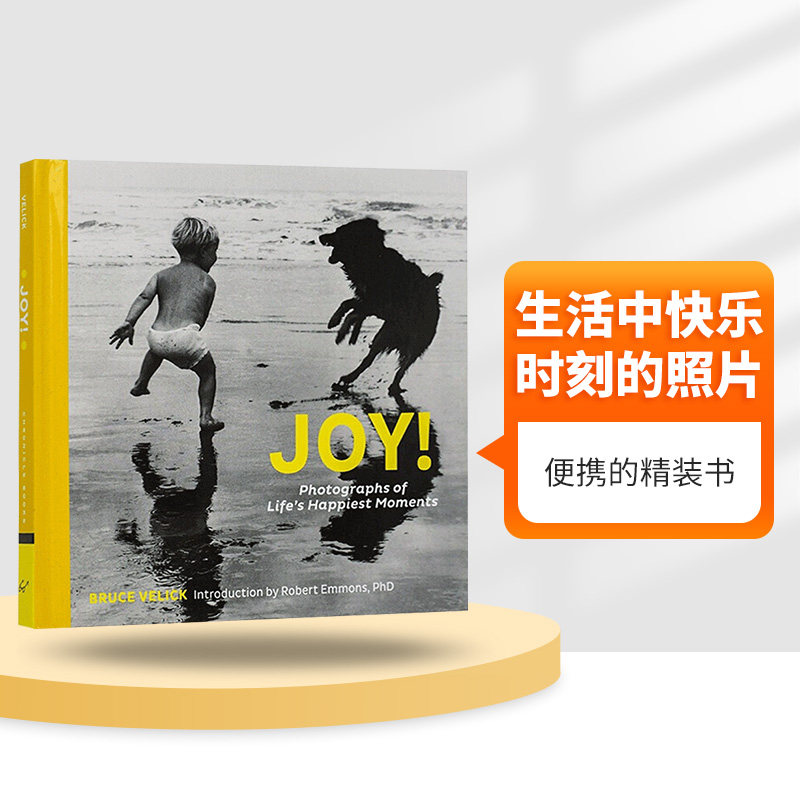 生活中快乐时刻的照片 开心时刻抓拍摄影集 英文原版 精装 喜悦心情