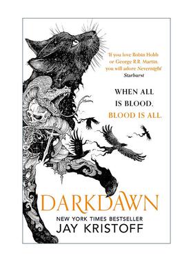 英文原版 Nevernight Darkdawn 黑暗黎明 杰伊·克里斯多夫 黑夜三部曲3 畅销青少年奇幻小说 英文版 进口英语原版书籍