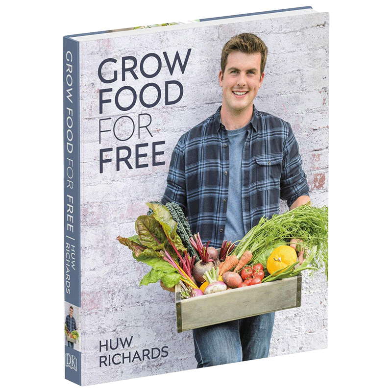 低成本种植粮食 英文原版 Grow Food for Free 水果园艺科普读物 生活百科指南 DK系列 精装 英文版进口英语书籍