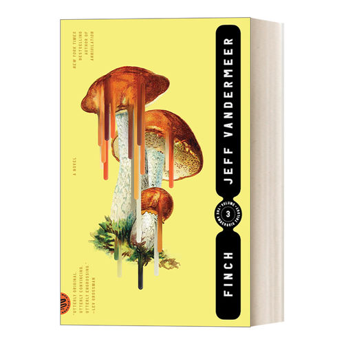 英文原版小说 Finch A Novel 芬奇探案记 The Ambergris Trilogy 3 英文版 进口英语原版书籍