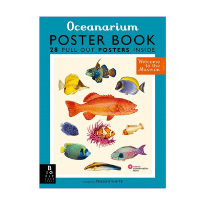 英文原版 Oceanarium Poster Book 欢迎来到博物馆系列 海洋馆海报 儿童科普 英文版 进口英语原版书籍
