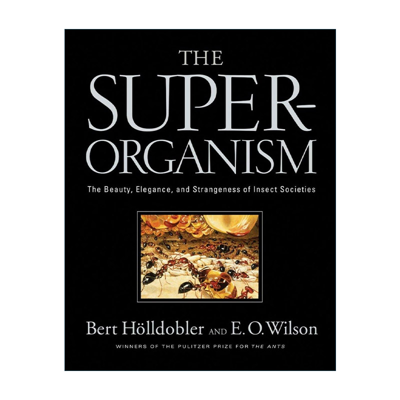 英文原版 The Superorganism 超个体 昆虫社会的美丽 优雅和奇妙 Bert Hoelldobler 精装 英文版 进口英语原版书籍