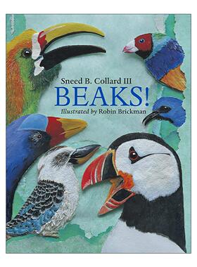 英文原版 Beaks 鸟喙 儿童动物科普百科绘本 Sneed B. Collard III 英文版 进口英语原版书籍
