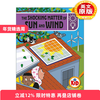 英文原版 Kid Detectives The Shocking Matter of Sun and Wind 令人震惊的太阳和风 儿童侦探冒险故事 英文版 进口英语原版书籍