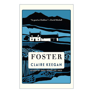 英文原版 Foster 寄养 走在蓝色的田野上作者Claire Keegan克莱尔·吉根 精装 英文版 进口英语原版书籍