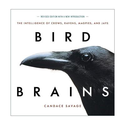 英文原版 Bird Brains 鸟的大脑 乌鸦 渡鸦 喜鹊和松鸦的智慧 观鸟指南 乌鸦简史作者Candace Savage 英文版 进口英语原版书籍