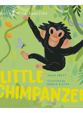 英文原版 Little Chimpanzee A Day in the Life of a Baby Chimp 小黑猩猩 黑猩猩宝宝的一天 动物主题精装儿童绘本 进口英语书籍