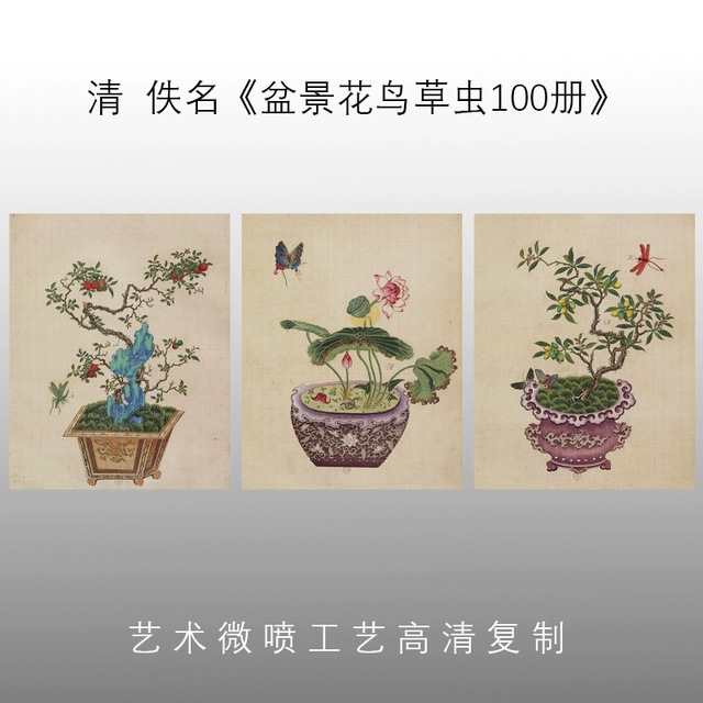 清 佚名 写意工笔画盆景花鸟草虫册页高清复制临摹学习家庭装饰画图片