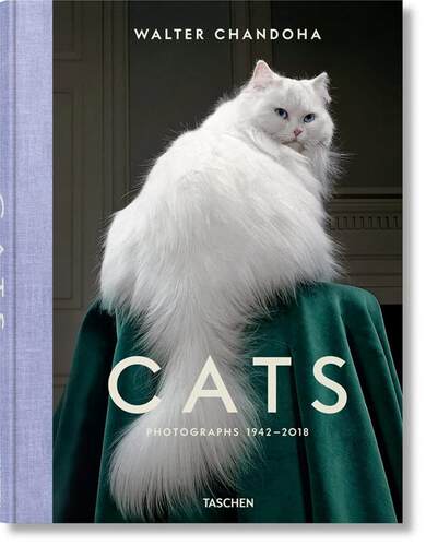 猫咪摄影集1942-2018沃尔特