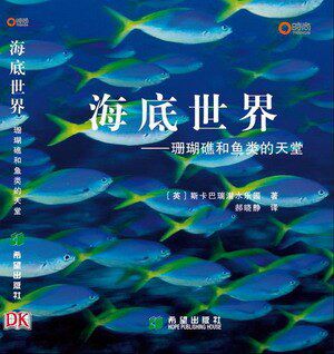 珊瑚礁和鱼类的天堂水下摄影