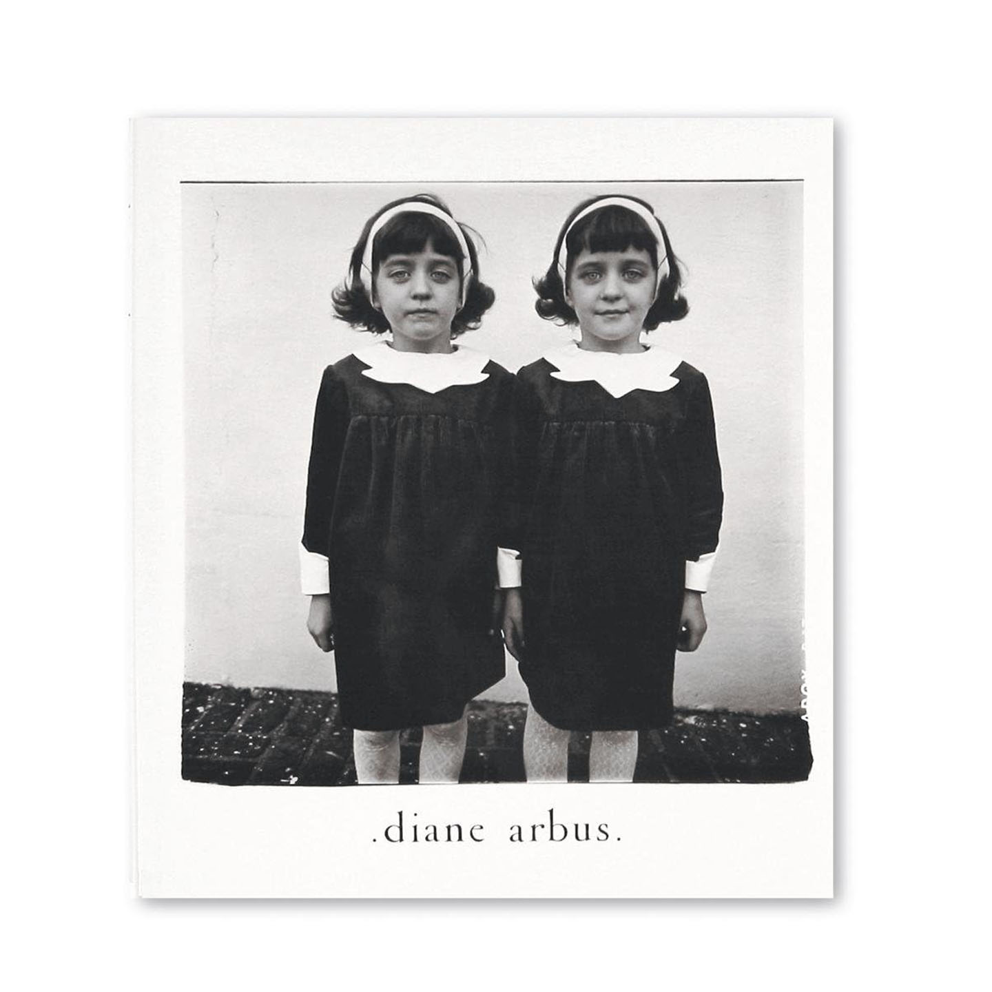 黛安阿勃丝光圈专著精装版