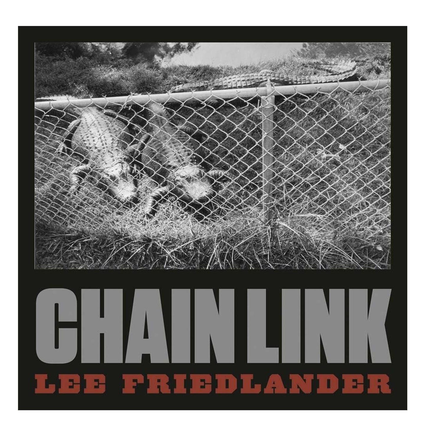 现货   Lee Friedlander: Chain Link 李弗里德兰德:链环摄影集