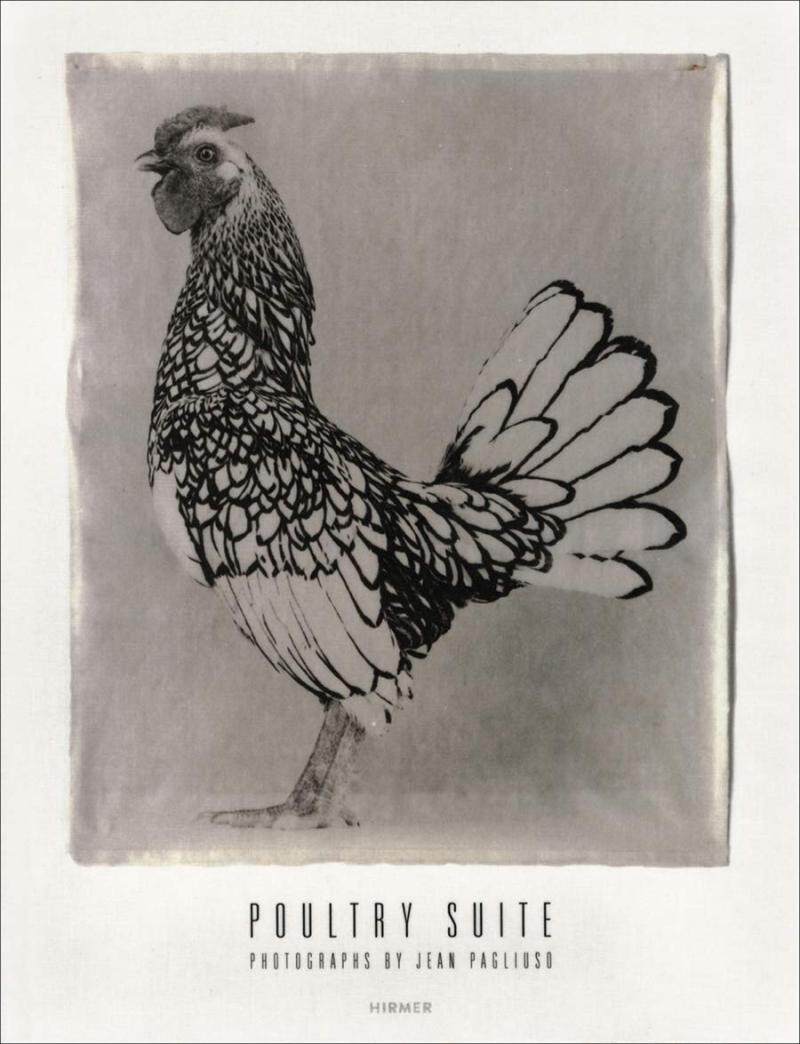 现货 Poultry Suite: Photographs by Jean Pagliuso 乔伊帕格鲁索:家禽摄影作品集