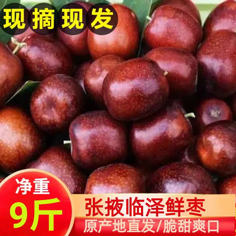 正宗临泽鲜枣现摘脆甜多汁