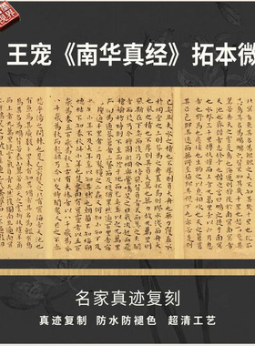 明王宠南华真经拓本小楷书法仿古