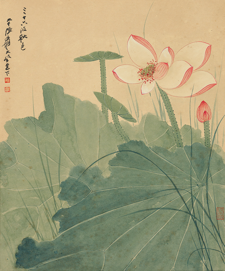 张大千荷花图国画花鸟宣纸微喷打印复制画版画玄关走廊中式装饰画