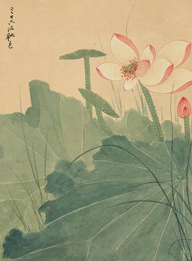 张大千荷花图国画花鸟宣纸微喷打印复制画版画玄关走廊中式装饰画