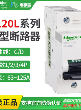 施耐德微型断路器C120L 1P2P3P4P C63A80A100A125A空气开关C型D型